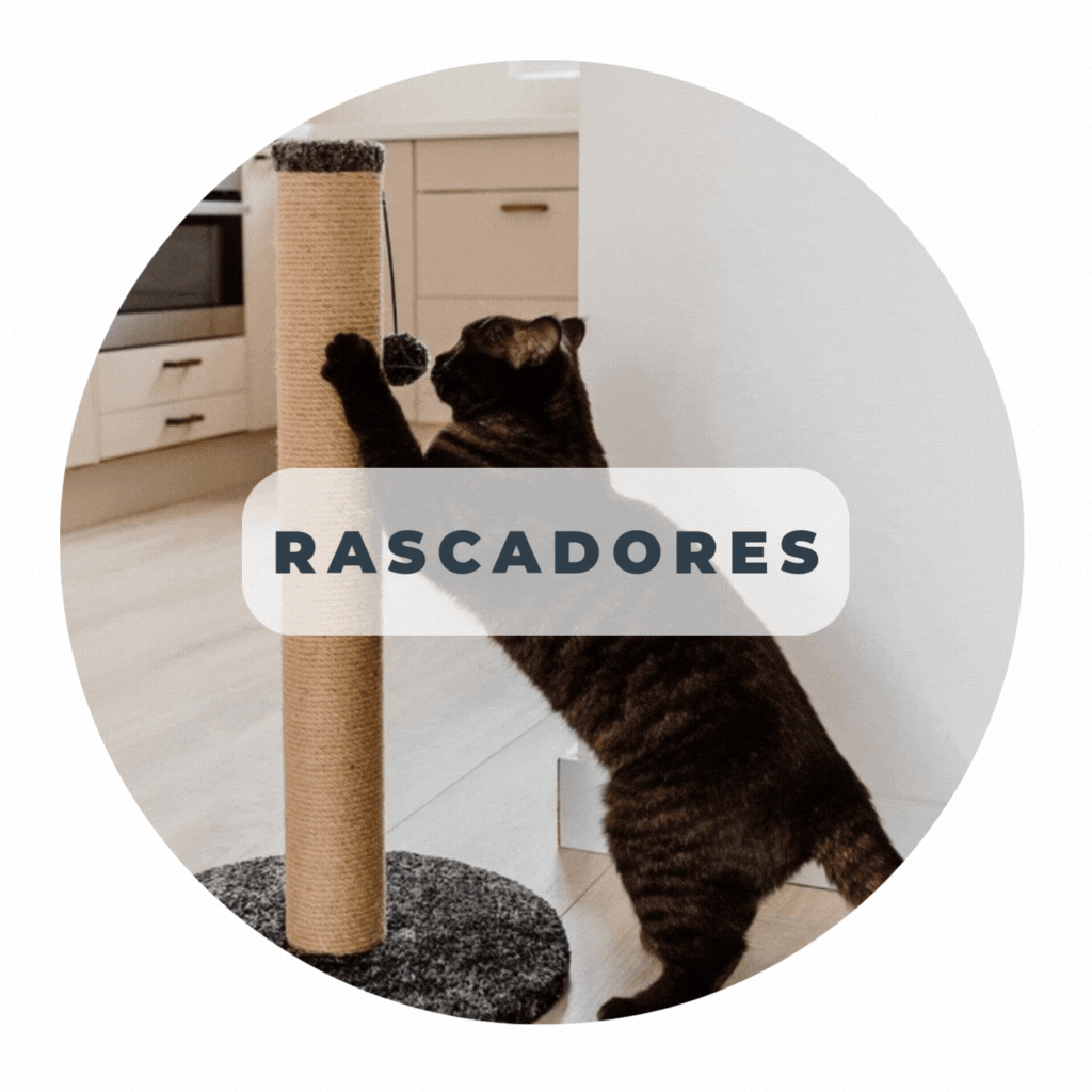 Rascadores